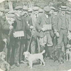 Eskdale Terriers